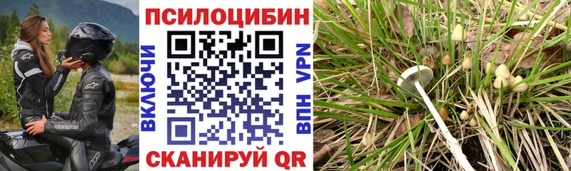 Галлюциногенные грибы прущие грибы  Усть-Лабинск 